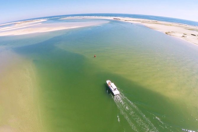 Full Day Boat Tour In Fuseta  - Faro - Whats Included in the Experience