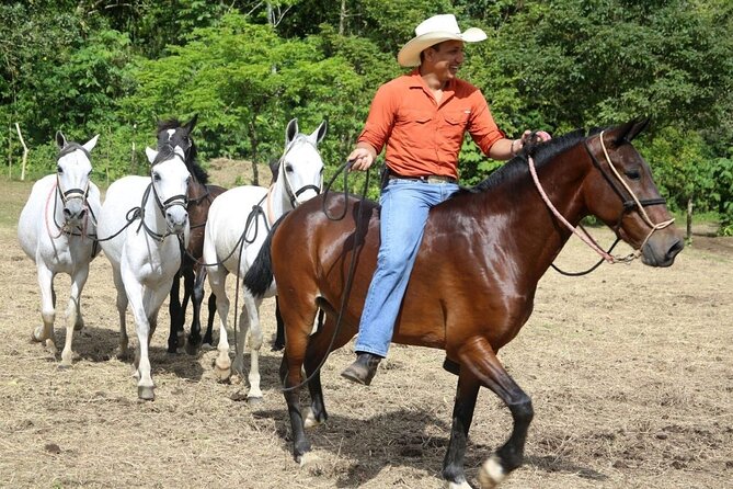Full Day Class II-III Rafting, Waterfall Hike and Horse Back Riding From La Fortuna-Arenal - Inclusions and Pickup Details