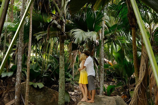 Full Day Discovery Tour of Vallee De Mai and Anse Lazio on Praslin Island - Relaxing at Anse Lazio