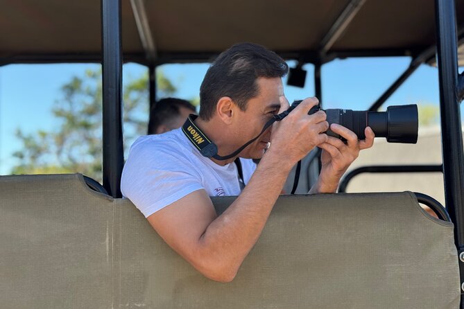 Full Day Exquisite Pilanesberg Safari From Johannesburg - Safari Itinerary Overview