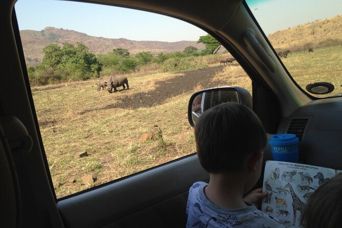 Full-Day Family Hluhluwe Imfolozi Park Safari Experience - Family-Friendly Inclusions