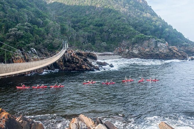 Full-Day Garden Route Safari From Port Elizabeth - What to Bring and Expect
