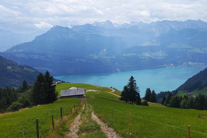 Full-Day Hiking Swiss Alps and Lake Lucerne With Pick-Up - Inclusions