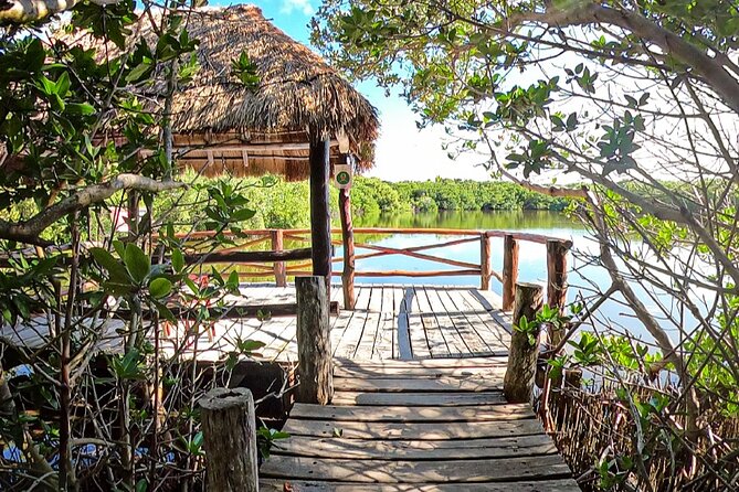 Full-Day Isla Contoy Sailing Nature Experience in Mujeres - Transportation Details