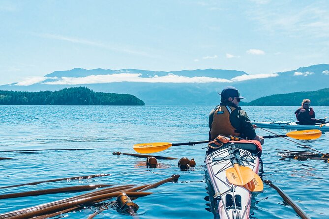 Full Day Kayaking Adventure on Vancouver Island - Paddling Equipment and Inclusions