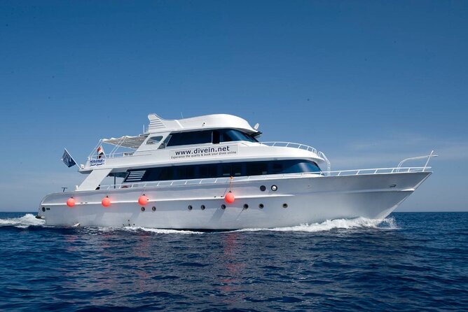 Full Day on Boat With 2 Dives in the Marine Parks of Sharm - Inclusions and Amenities