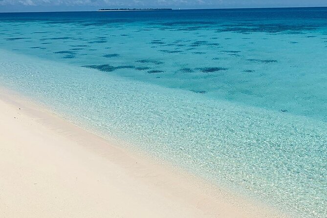 Full-Day Prison Island and Nakupenda Sandbank With Lunch Buffet - Highlights of the Itinerary