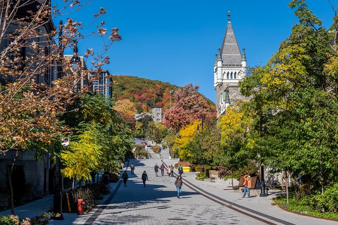 Full Day Private Shore Tour in Montreal From Montreal Cruise Port - Schedule and Availability