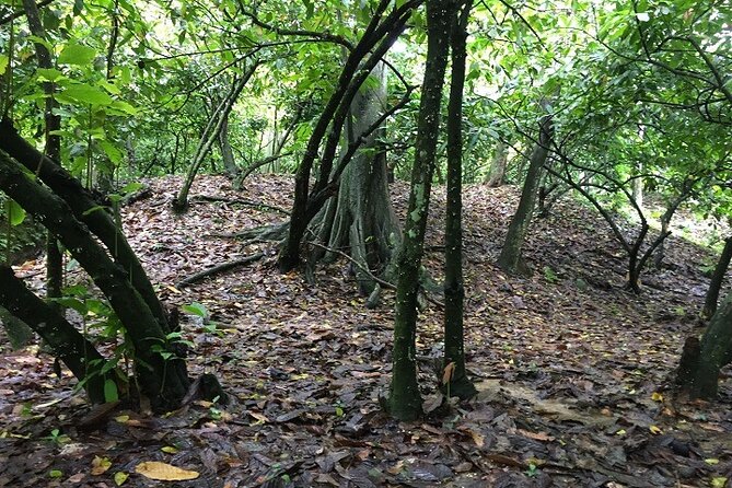 Full-Day Private Tour in Miches and La Jarda Waterfall Experience - Meals and Dining Options