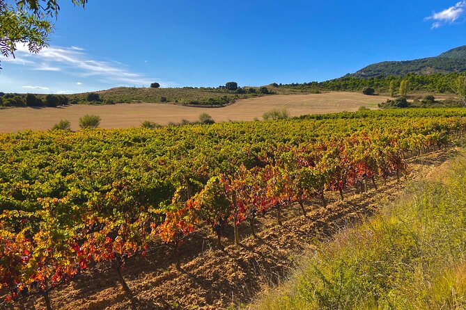 Full-Day Private Wine Tasting Tour in La Rioja With Lunch - Inclusions