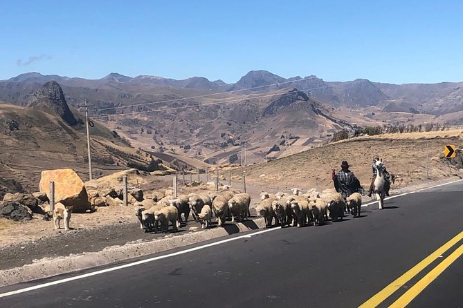 Full Day Quilotoa Loop and Cotopaxi Volcano From Quito - Cotopaxi Volcano Excursion