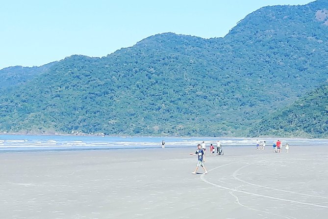 Full Day Rain Forest and Indian Reservation Tour From São Paulo - Inclusions and Transportation
