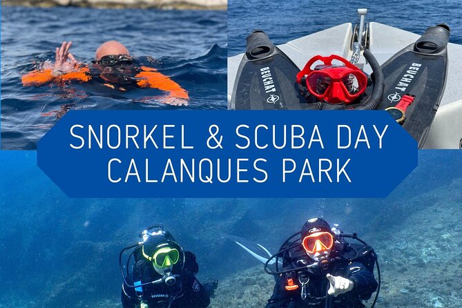 Full-Day Snorkeling and Guided Dive in the Calanques National Park From Marseille - Itinerary and Experience