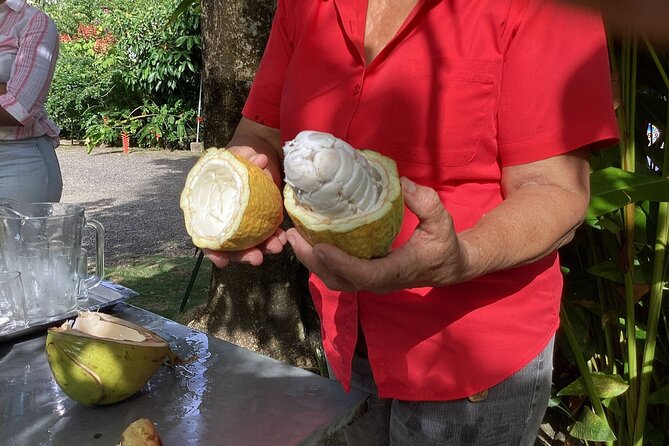 Full Day Spirit of the Maroons Cultural From Montego Bay - Highlights of the Tour