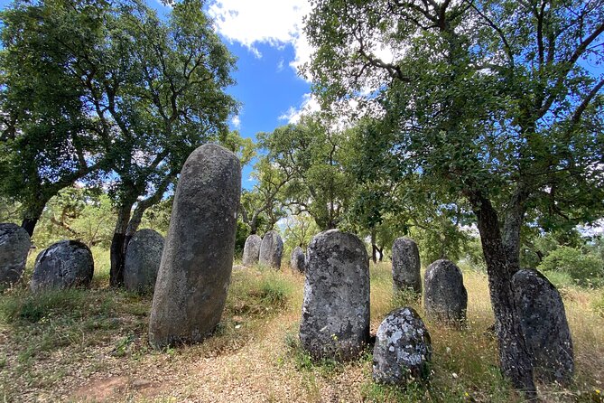Full Day Tour in Évora From Lisbon - Inclusions