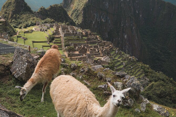 Full Day Tour to Machu Picchu - Inclusions and Amenities