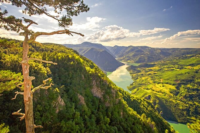 Full Day Trip From Belgrade: the Drina River House and Tara Park Tour - Booking Details