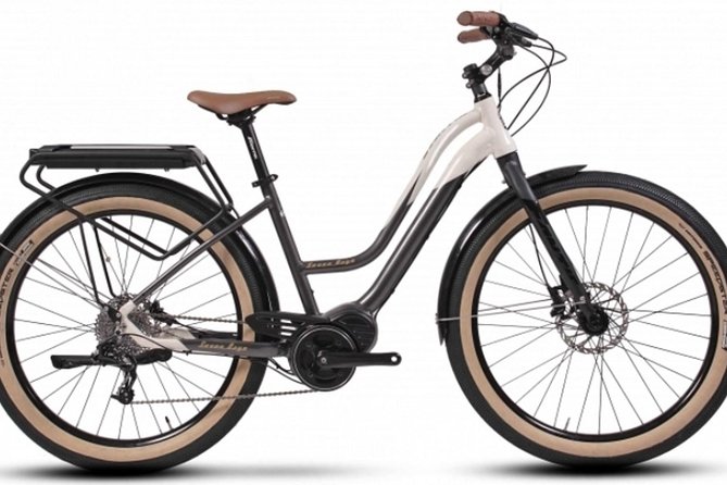 Full Day Venice E-Bike Rental - Rental Inclusions