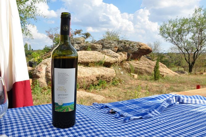 Full-Day Wine Tour From Istanbul - Wine Tasting Experiences
