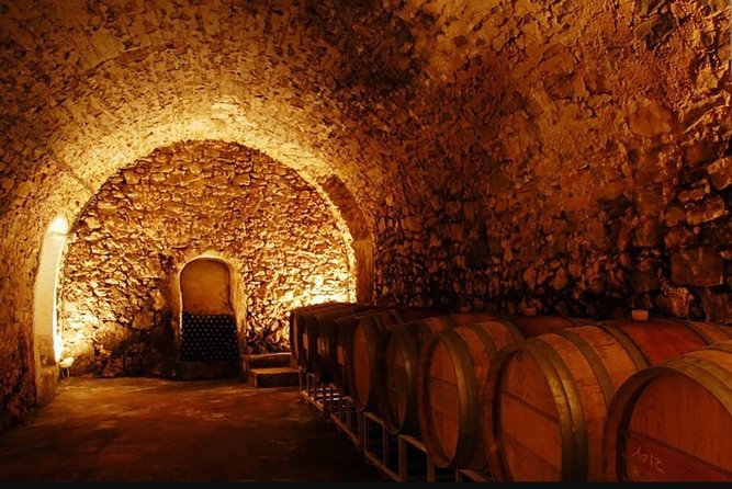 Full Day: Wine Tour of the Cassis Vineyards - Schedule and Availability