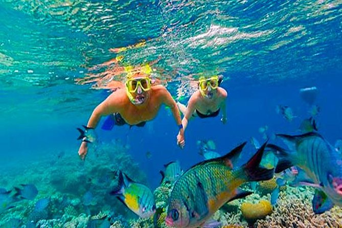 Fun Catamaran Snorkeling Party, Sightseeing & Transportation - Pickup and Transportation Details