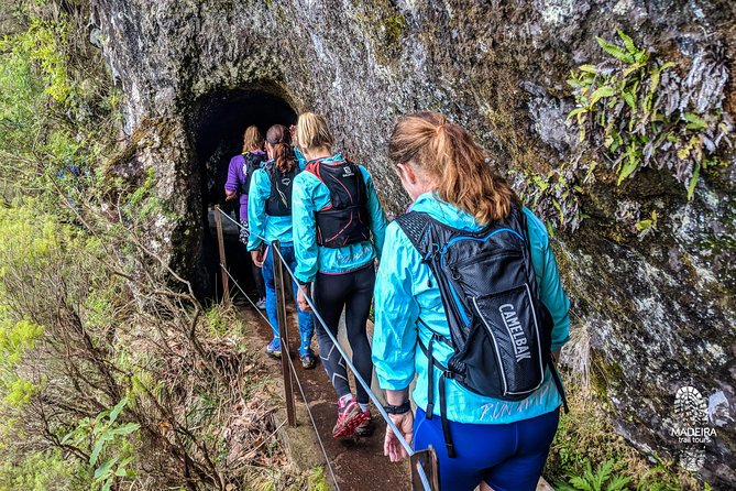 Funchal Half-Day Trail Running Small-Group Tour - Transportation and Meeting Point