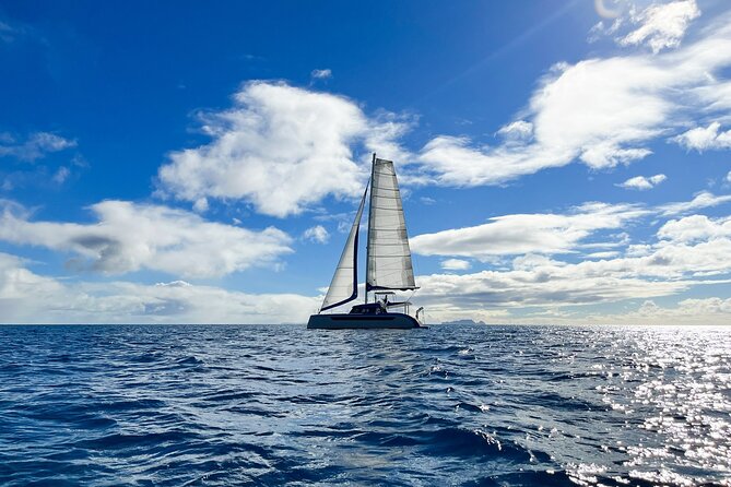 Funchal: Luxury Catamaran Sunset Cruise Open Bar - Meeting and Pickup Details