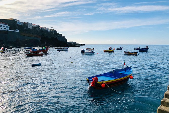 Funchal Private Vehicle Service With Driver for a Half Day or Full Day - Service Flexibility and Pickup Options