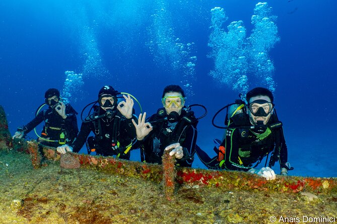 Fundiving in Cozumel - by Ferry - 2 Tanks in the Wonderful Caribbean Sea - Meeting Point and Schedule