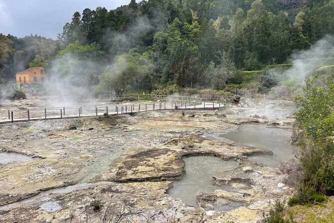 Furnas Vale, Gorreana Tea Factory Tour Review - Inclusions and Exclusions