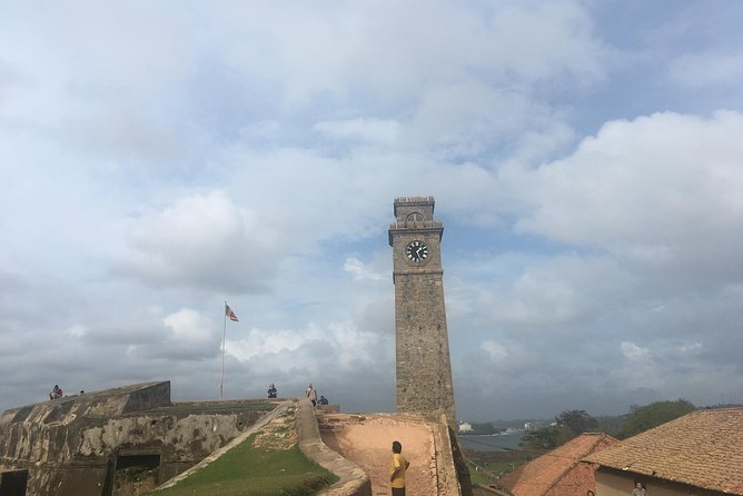 Galle Fort & Boat Safari & Turtles Day Trip - Turtle Sanctuary Experience