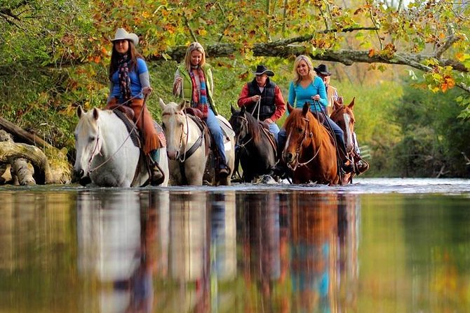 Georgia Horseback Ride With Wine Tasting - Communication Challenges