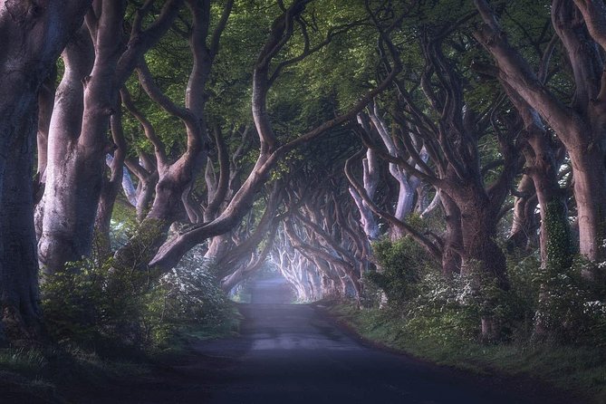 Giants Causeway & Game of Thrones Tour From Belfast - Tour Features