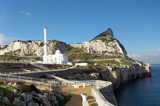 Gibraltar and Dolphins Cruise Day Trip From Costa Del Sol - Meeting and Pickup