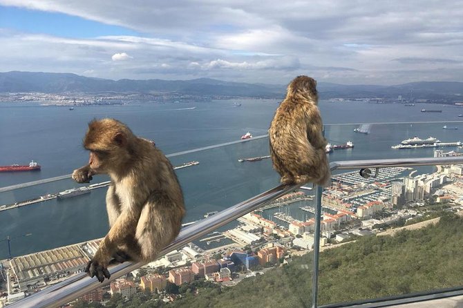 Gibraltar Sightseeing Private Full Day Shore Excursion - Pickup Information