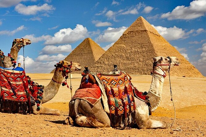 Giza Pyramids Sound and Light Show With Dinner - Egyptologist Guide Insights