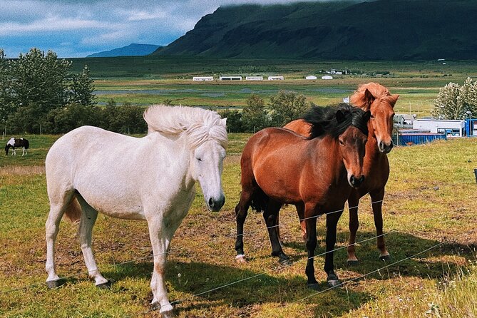 Golden Circle Small Group Day Tour - Booking and Cancellation
