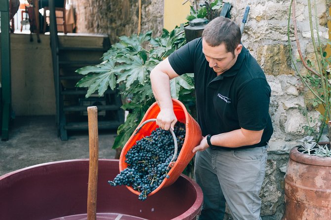 Grape Stomping in Tuscan Farmhouse - Tour Details and Ratings