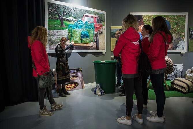 Green Line: Dalmatia for Nature Lovers With Sightseeing Bus - Activity Schedule