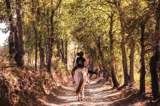 Grimaud Horse Riding and Wine Tasting Review - Inclusions and Exclusions