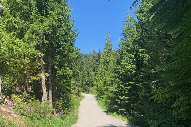 Guided Bike /E-bike Tour in Whistler From Vancouver - Inclusions