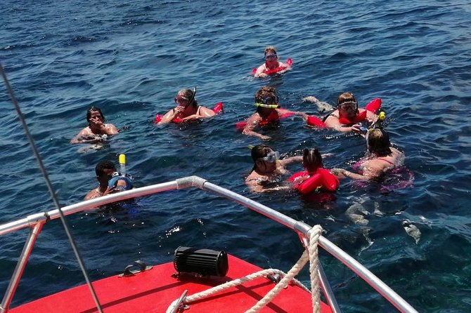 Guided Boat Tour & Snorkeling at Roatan With Pickup - Inclusions and Pickup