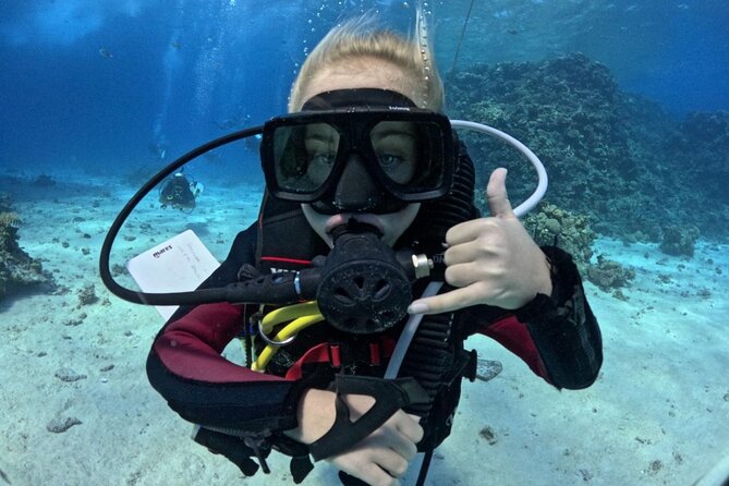 Guided Diving Experience for Padi OW in Red Sea and Sinai - Inclusions and Fees