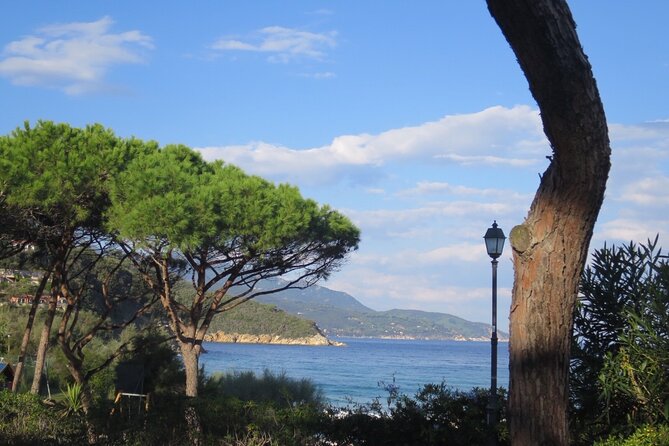 Guided Excursion Elba Island - Full Day - Key Customer Complaints