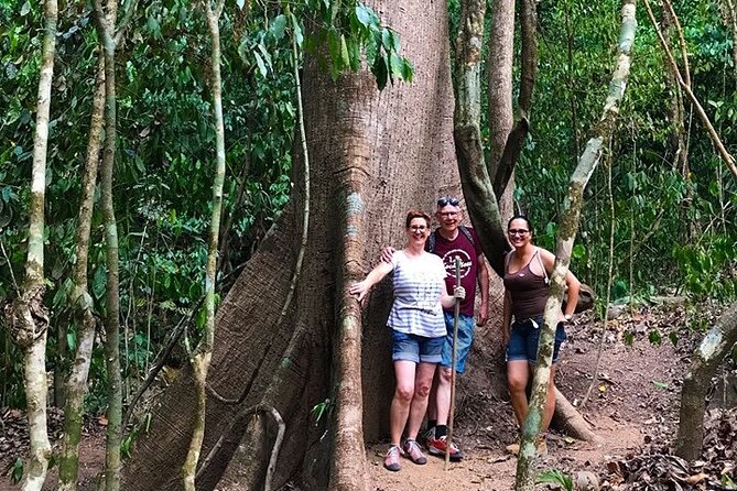 Guided Hiking Tour by the Mystic Ebano Rainforest in Costa Rica - Guided Hiking Experience in Costa Rica