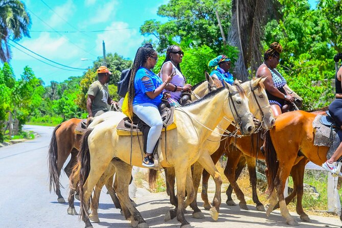 Guided Horseback Riding Through Nature in Punta Cana - Location and Surroundings