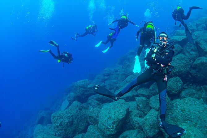 Guided Immersion From Santa Cruz De Tenerife - Verified Reviews Highlight Positive Feedback