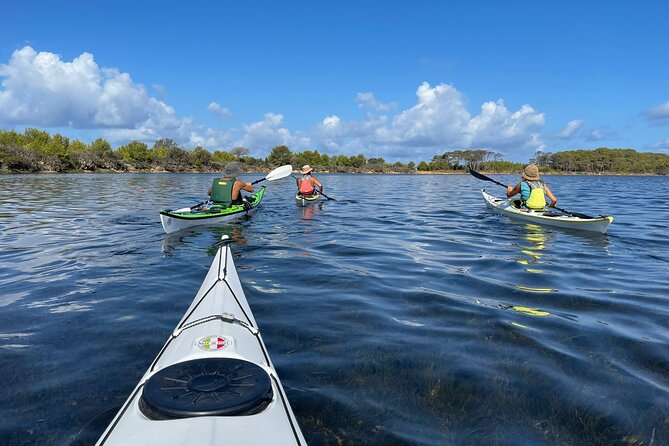 Guided Kayak Tour Inside the Stagnone of Marsala - Exploring the Scenic Wetlands