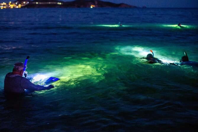 Guided Night Snorkeling in Roatan - Equipment and Transportation Provided