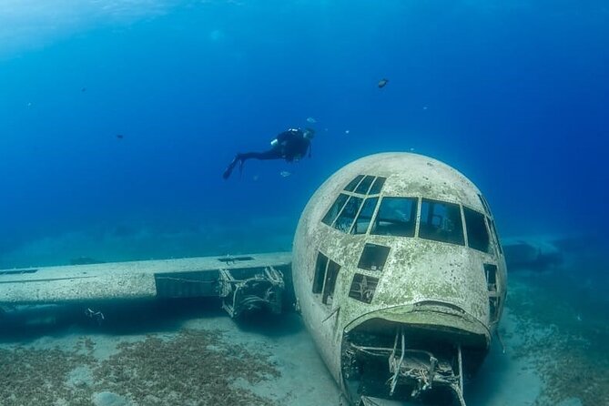 Guided Scuba Diving Adventure in Aqaba - Meeting and Pickup Information